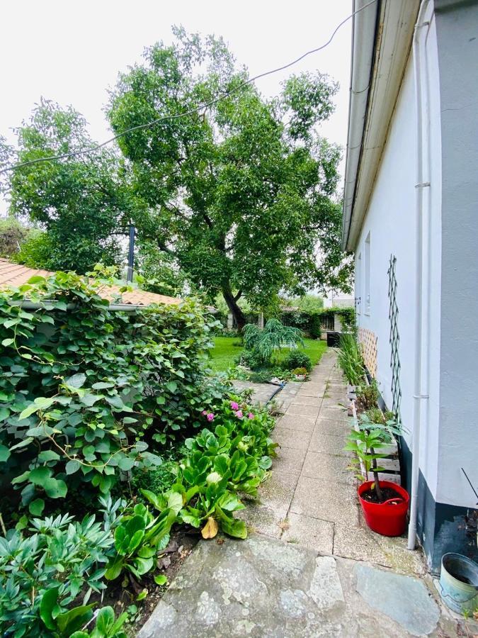 B&B Chardas Bük Esterno foto